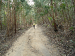 DSC01059.png