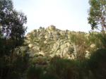 DSC01067.png
