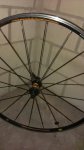 IMG-20130116-WA0011.jpg