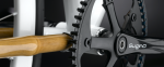 panda cycles.png