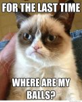 grumpy-cat-meme.jpg