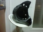 IMG-20130117-00129.jpg