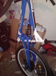 IMG-20130111-WA0002.jpg