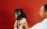 mlj90o.gif