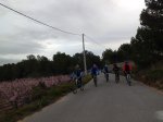 CIMG4014 (Copiar).jpg