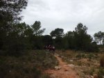 CIMG4028 (Copiar).jpg