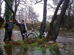 P1190068c10.jpg