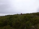 P1060833_800x600.jpg