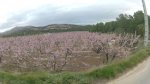 GOPR0005 (frame 115)_800x450.jpg