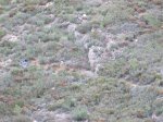 IMG_0158.JPG