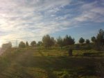 16092008_006.jpg