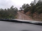 IMG-20130119-WA0008.jpg
