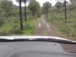 IMG-20130119-WA0011.jpg