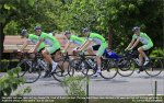 bardiani.jpg