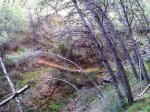 IMG-20130120-00319.jpg