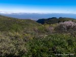 IMG_6450.jpg