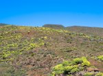 IMG_6456.jpg