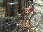 2012-11-01 12.56.26 menos calidad.gif