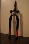 DSC01374.jpg