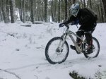 jarosa enero 2013 peq.JPG