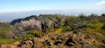 DSCN4251.jpg