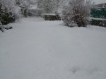 DSCN8572.JPG