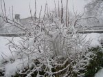 DSCN8573.JPG