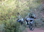 IMG_0198.JPG