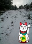 100_5531.JPG