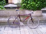 bici univega2.JPG