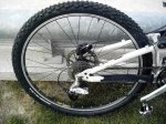 giant (8).JPG