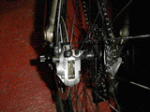 CLP00158.GIF