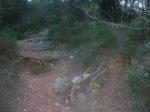 DSCN0851.JPG