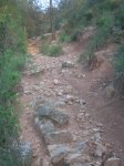 DSCN0845.JPG