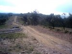 IMAG0086.JPG