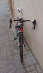 IMAG0917.jpg
