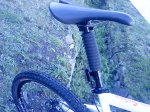 DSC07541.JPG