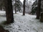 20130120_120807.jpg