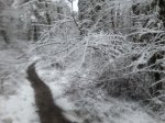 20130120_121126.jpg