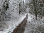 20130120_121129.jpg