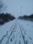20130123_181244.jpg