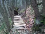 2013-01-22 17.12.48_1.jpg