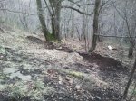 2013-01-21 17.09.09_1.jpg