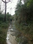 rps20130123_214618.jpg