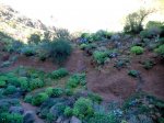 DSCN4289_2.jpg