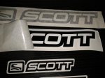 scott.jpg