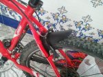 2013-01-25 13.01.55.jpg