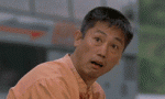 gato-sorprendido.gif
