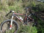 20121215_131032.jpg