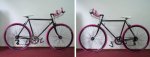 bici 2.jpg